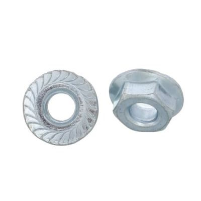 ASME B18.16.4 Dadi flangiati esagonali
