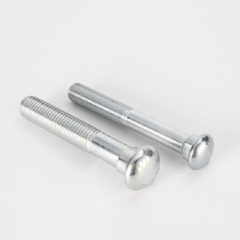 Non-standard Steel Round Head Bolt