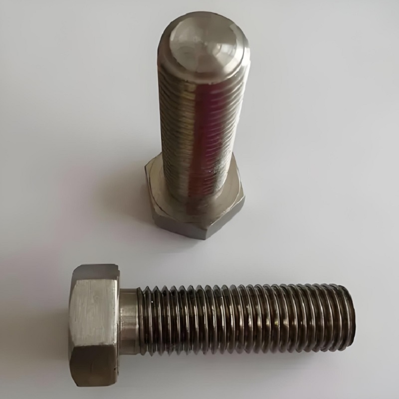 DIN 558 Threaded up to The Head Steel Hex Screw