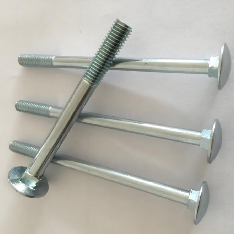 Stainless Steel Coach Bolts