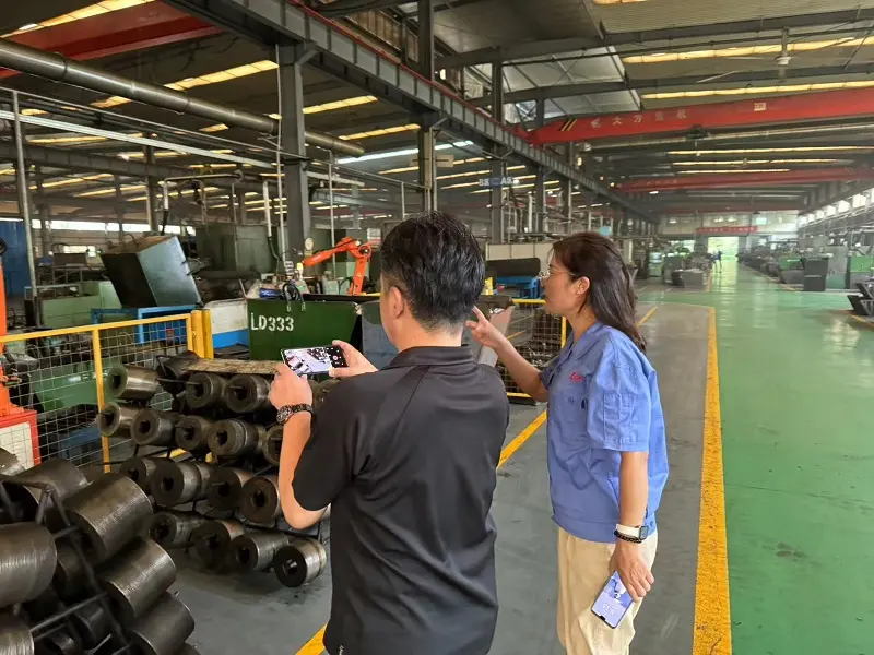 El cliente cooperativo japonés Star inspeccionado El cliente cooperativo japonés Star inspeccionado