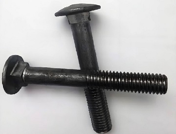 Stainless Steel Coach Bolts Stainless Steel Coach Bolts