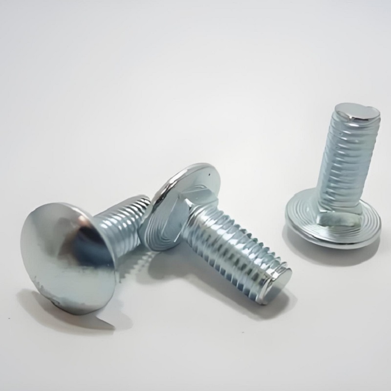 Bolts de entrenador negro